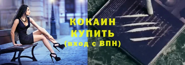 ешки Ельня