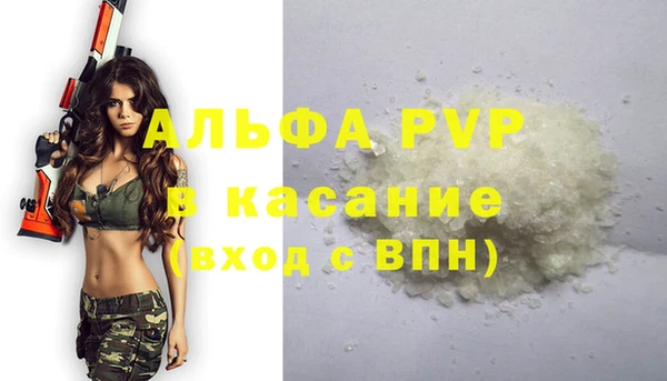 ешки Ельня