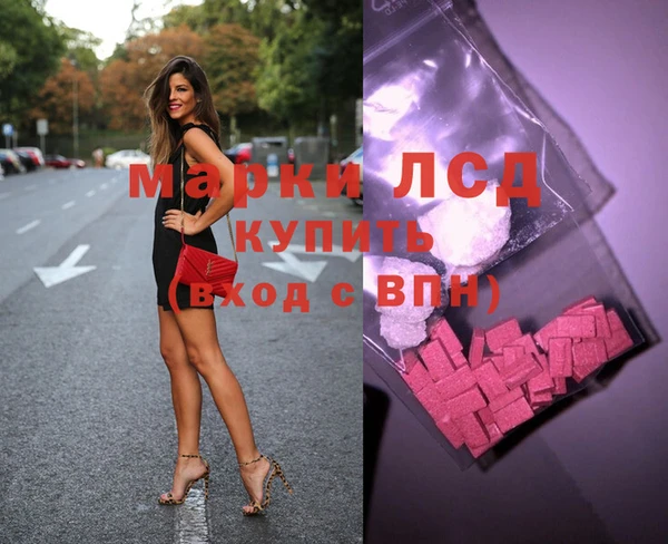 прущие грибы Елизово