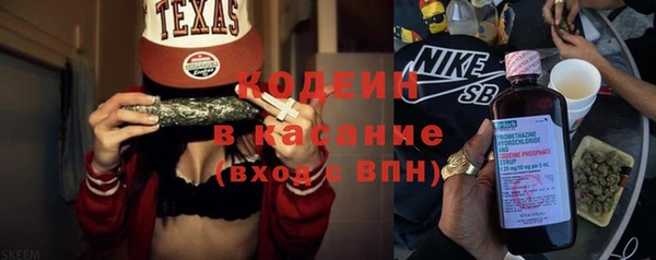 ешки Ельня