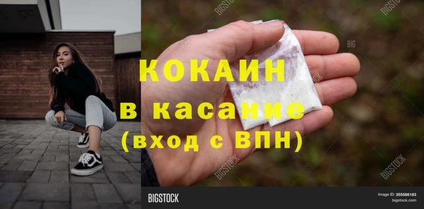 ешки Ельня
