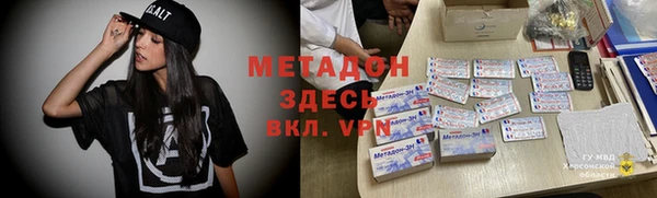 прущие грибы Елизово