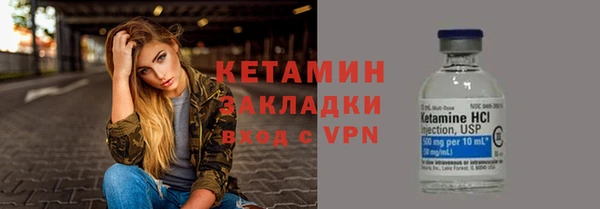 прущие грибы Елизово