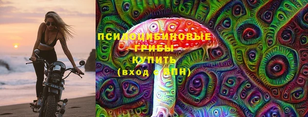 ешки Ельня