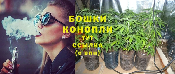 прущие грибы Елизово