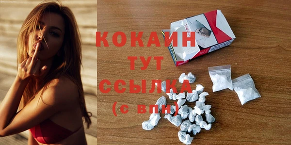 ешки Ельня