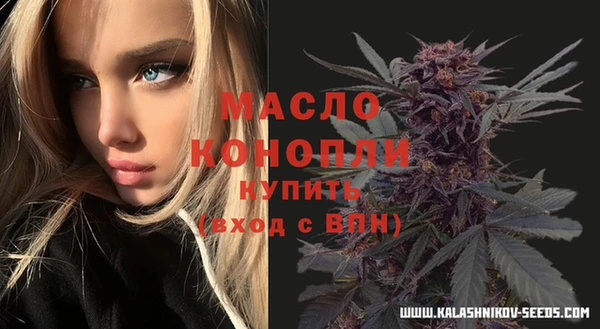 прущие грибы Елизово