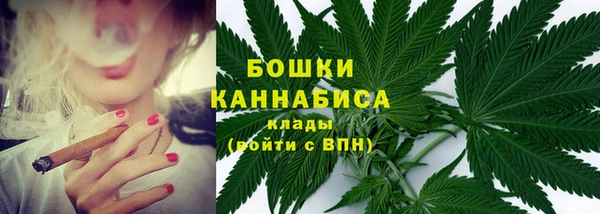 ешки Ельня