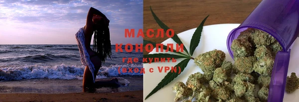 прущие грибы Елизово